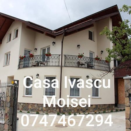Casa Ivascu Moisei Hotell Exteriör bild